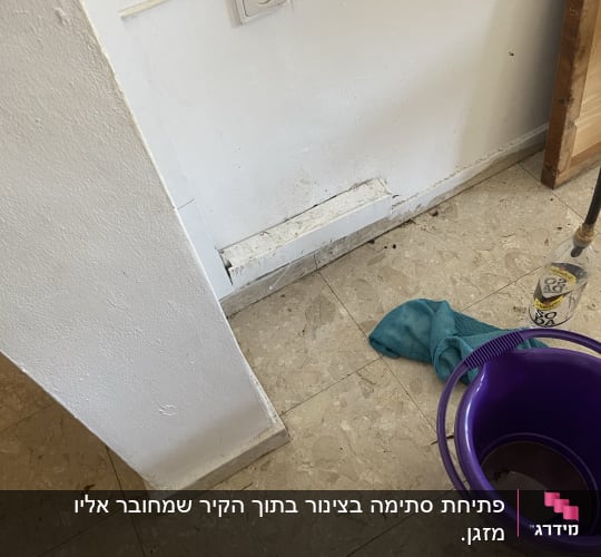 דלי סגול ומטלית על רצפה ליד קיר